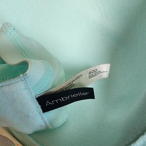 Ambrielle Full Figure Blue Bra (40D) - Picture 5 of 5